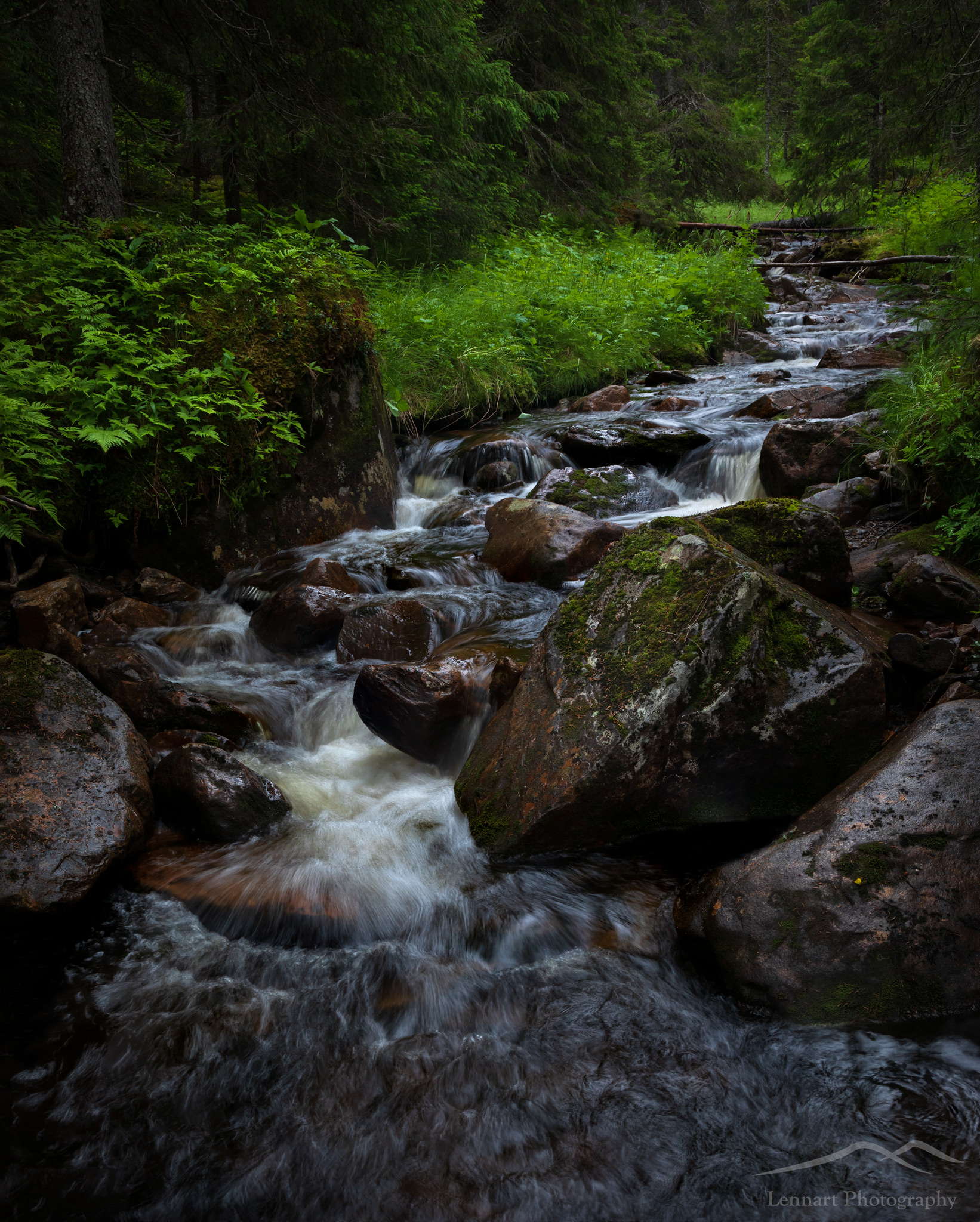 Little stream in the old forest in Offerdalsfjällen