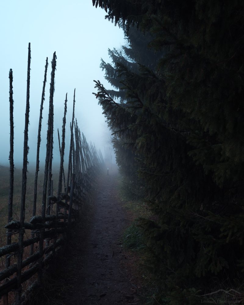 Misty Trail | Frösön, Jämtland