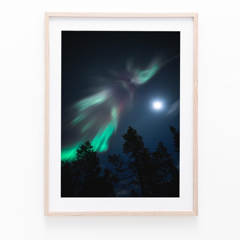 Aurora Angel | Svartsjöarna, Jämtland