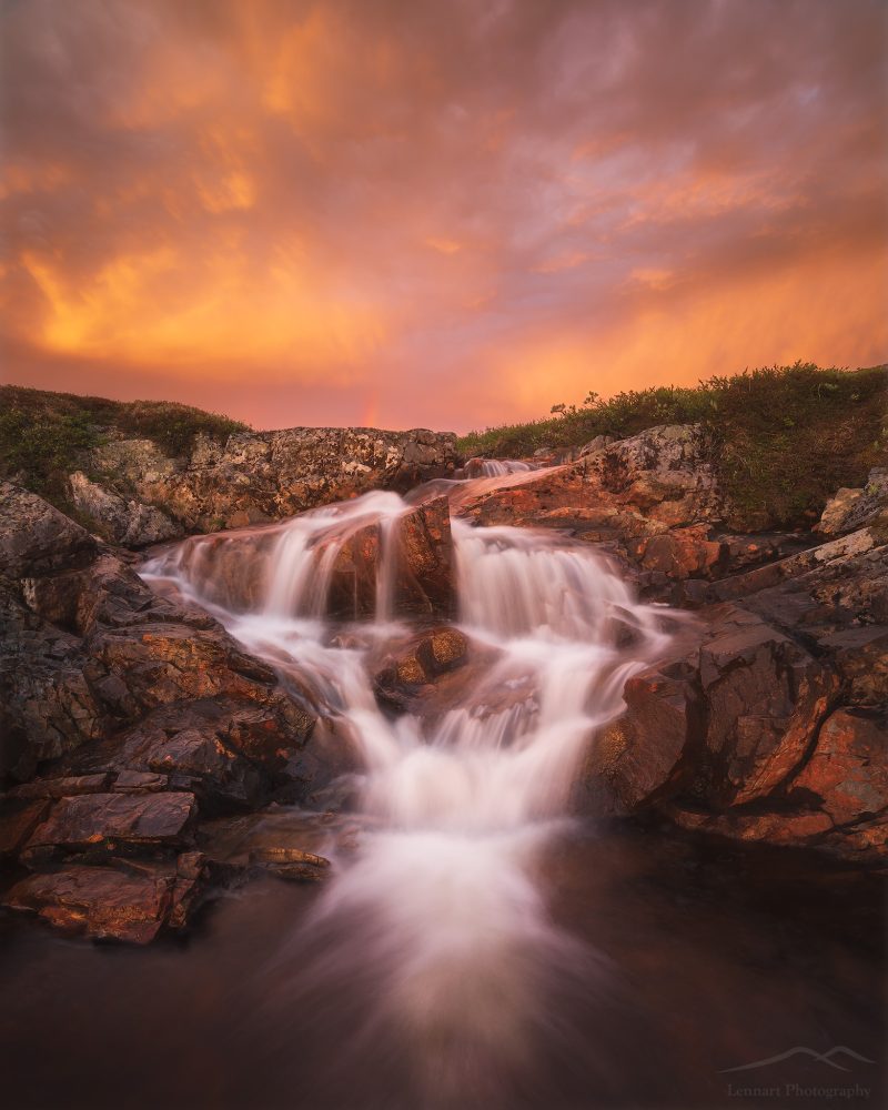 Golden Waterfall | Hottögsfjället, Jämtland
