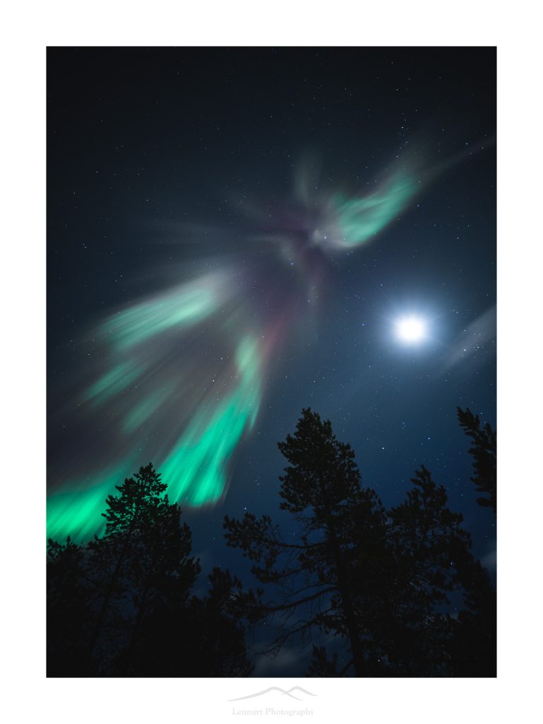 February | Aurora Angel | Svartsjöarna