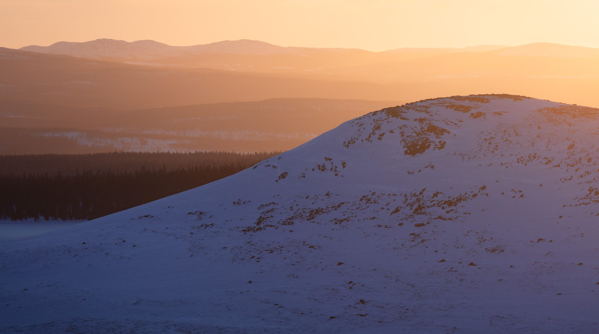 Midwinter Light