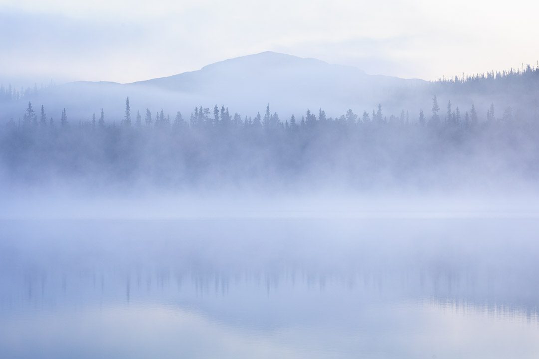 Morning Mist