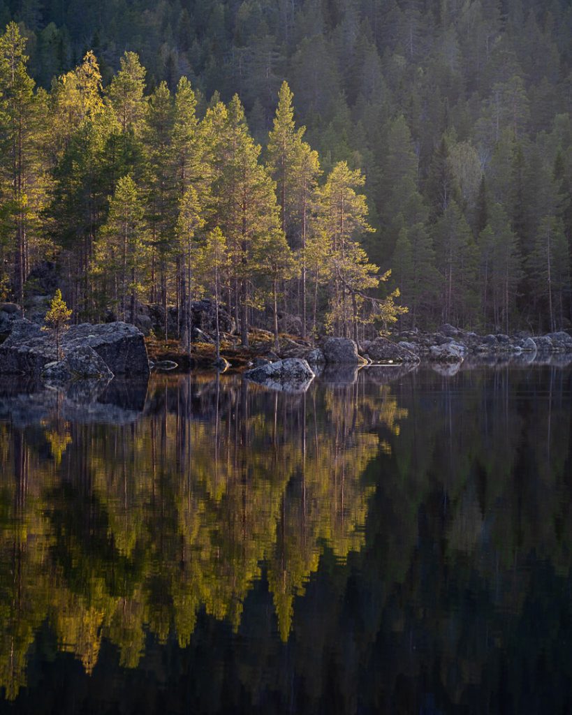 Mirror Water